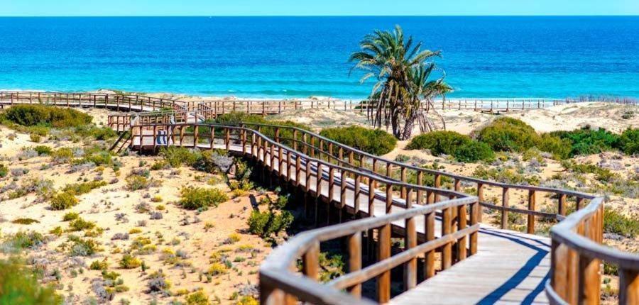 Apartamento En El Centro De Elche Con Terraza La Alborada Extérieur photo